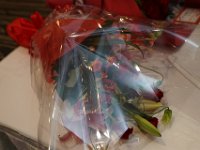 img (595)
